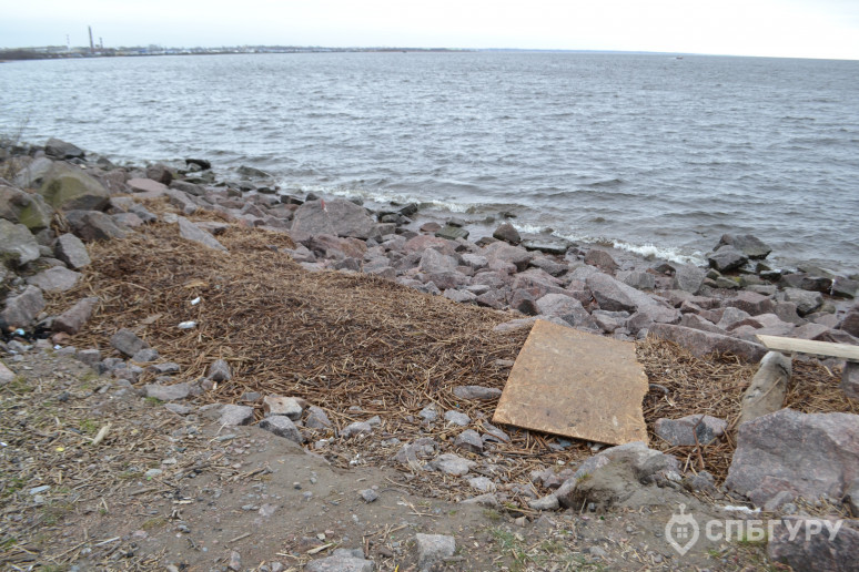 ЖК "Огни залива": городская окраина на морском берегу - Фото 32