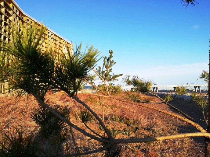 ЖК "Морская набережная": видовые квартиры среди песчаных дюн и бездорожья - Фото 29