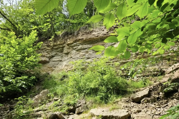 Новая охранная зона появилась в Ленинградской области