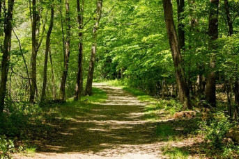 Новый велопешеходный маршрут построят в Выборге