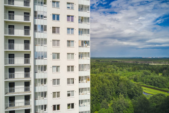 Рядом с ЖК "Цветной город" началось благоустройство парка