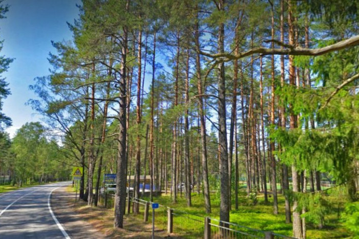 В Курортном районе восстановят базу отдыха "Маяк"