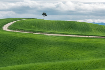 В Ленобласти проведут кадастровую оценку земли