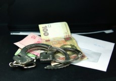 В Ленобласти задержан чиновник по подозрению в мошенничестве с земельными участками
