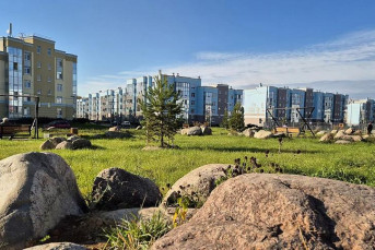 В ЖК "Новое Сертолово" появился сад камней